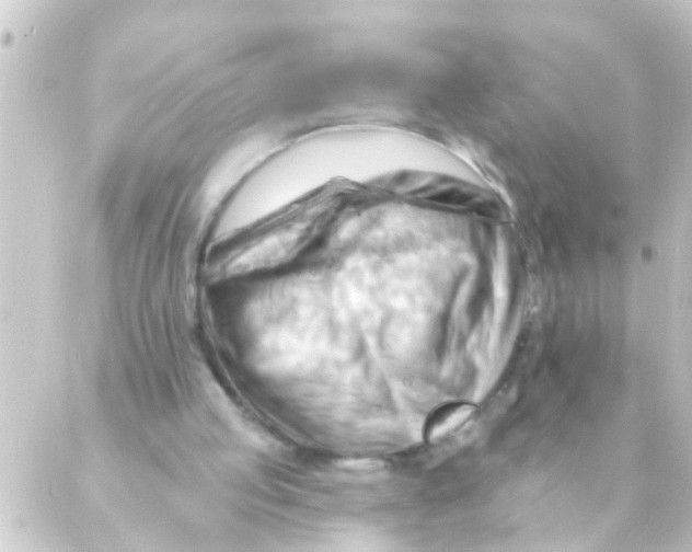 X0000088650053200706221620