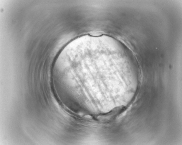 X0000088650055200706221620