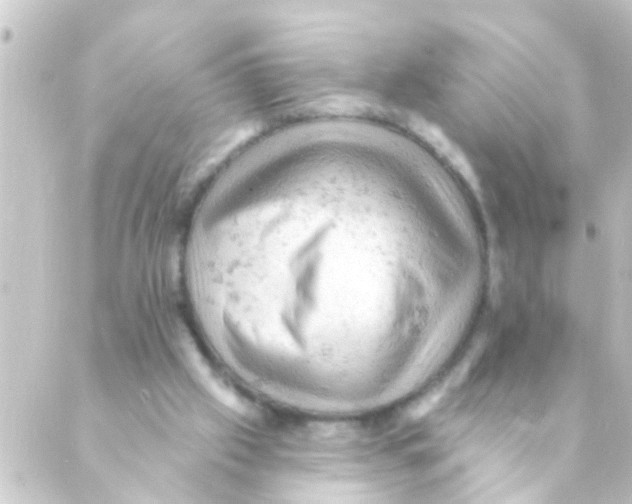 X0000088650057200706221620