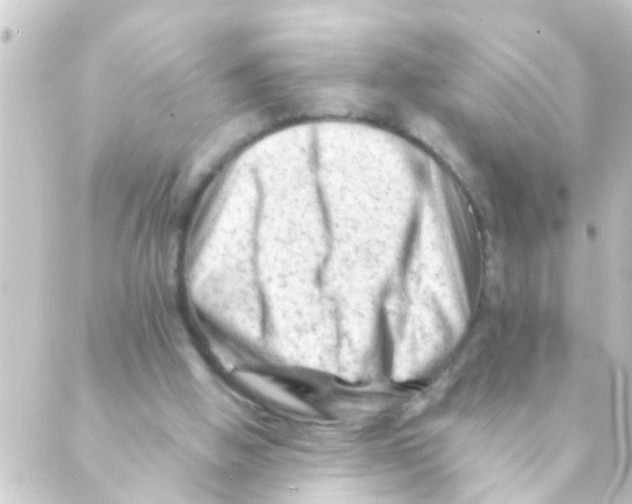 X0000088650058200706221620