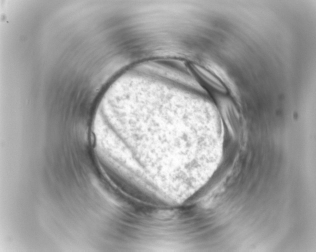 X0000088650060200706221621