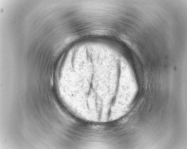 X0000088650062200706221621