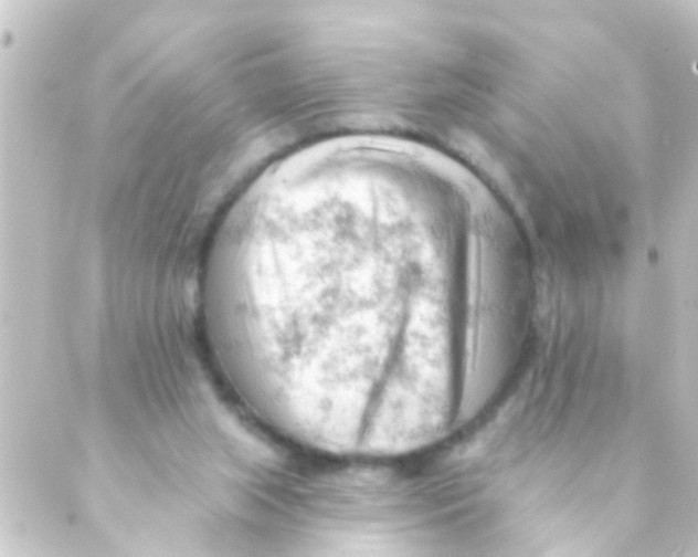 X0000088650063200706221621