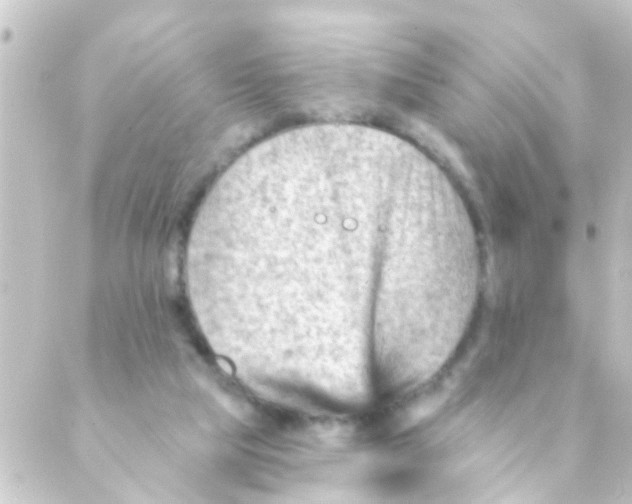 X0000088650065200706221621