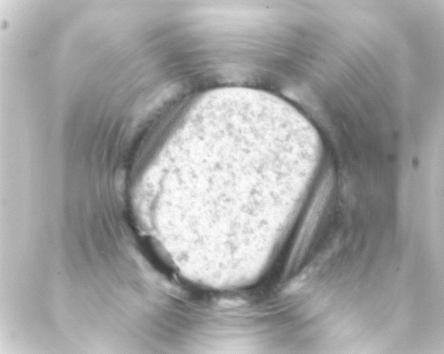 X0000088650066200706221621