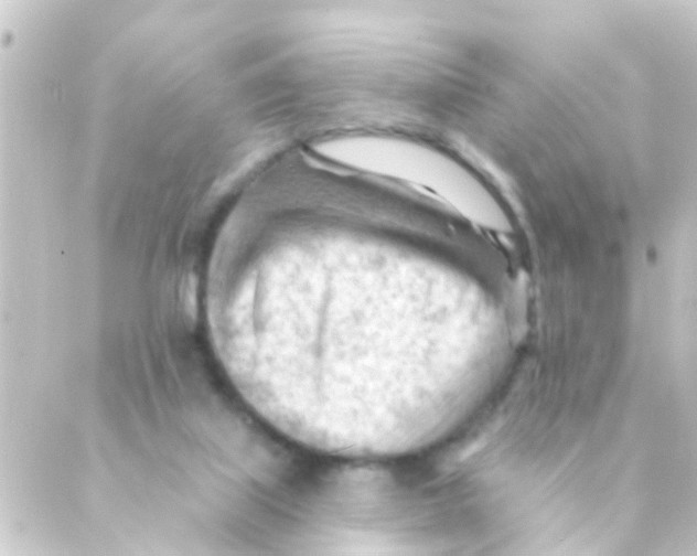 X0000088650067200706221621