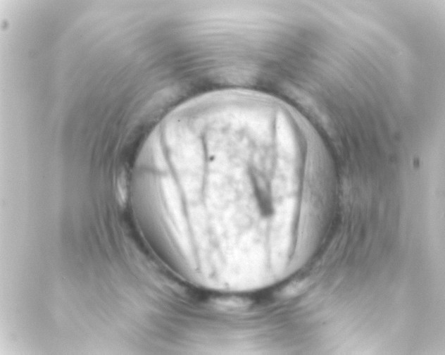 X0000088650069200706221621