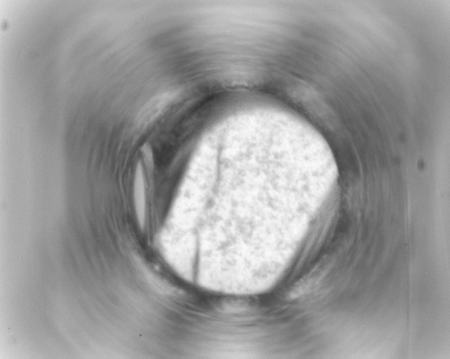 X0000088650070200706221621