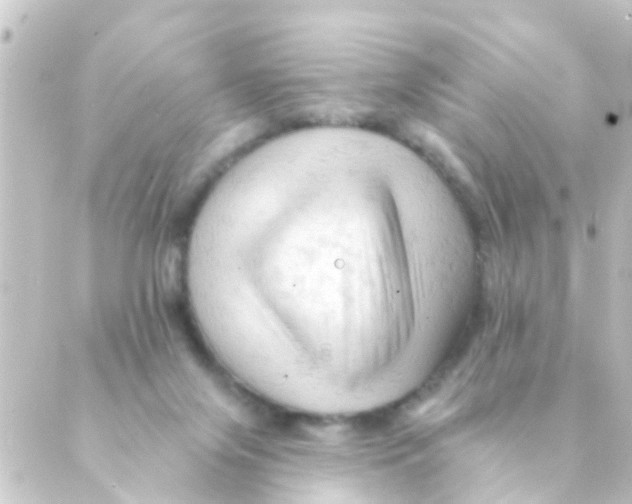 X0000088650071200706221621