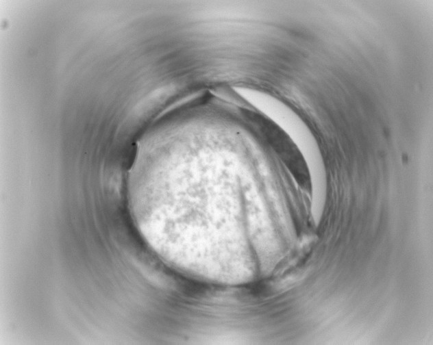 X0000088650072200706221621