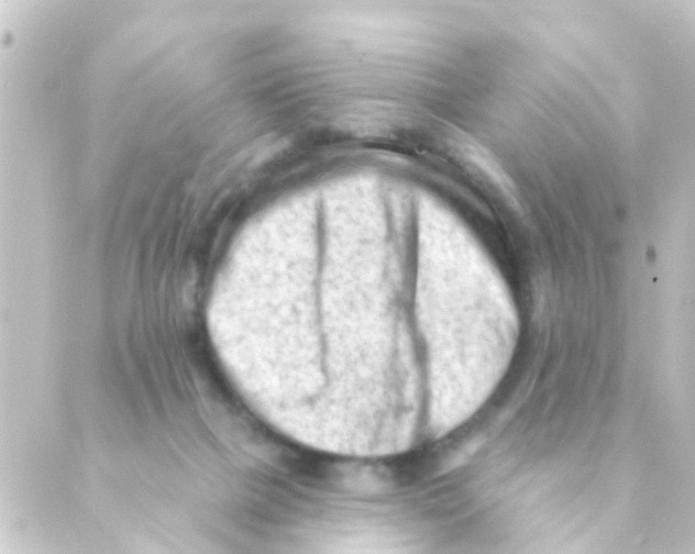 X0000088650073200706221621