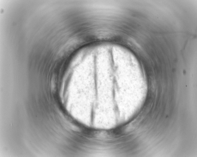 X0000088650074200706221621