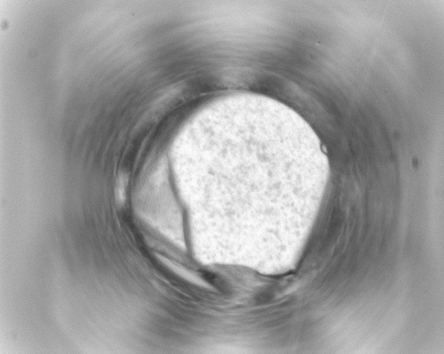 X0000088650075200706221621