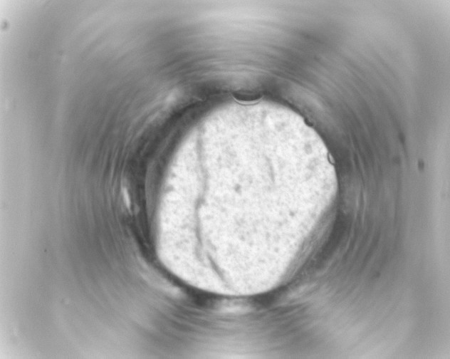 X0000088650077200706221621