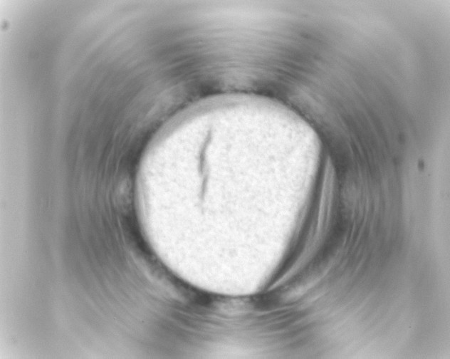 X0000088650079200706221621