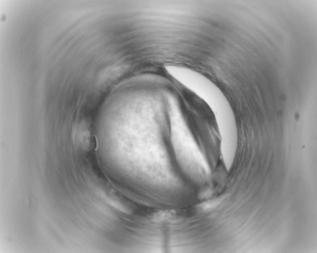 X0000088650080200706221621