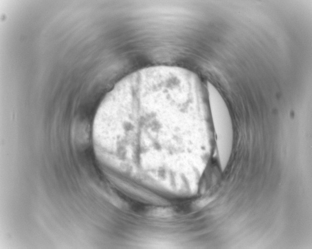 X0000088650081200706221621