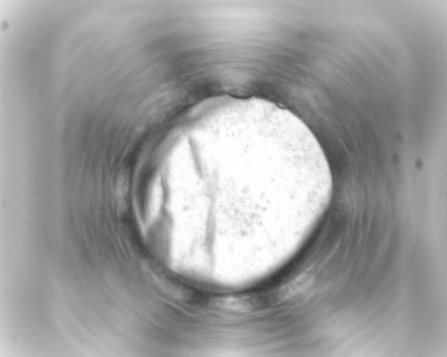 X0000088650082200706221621