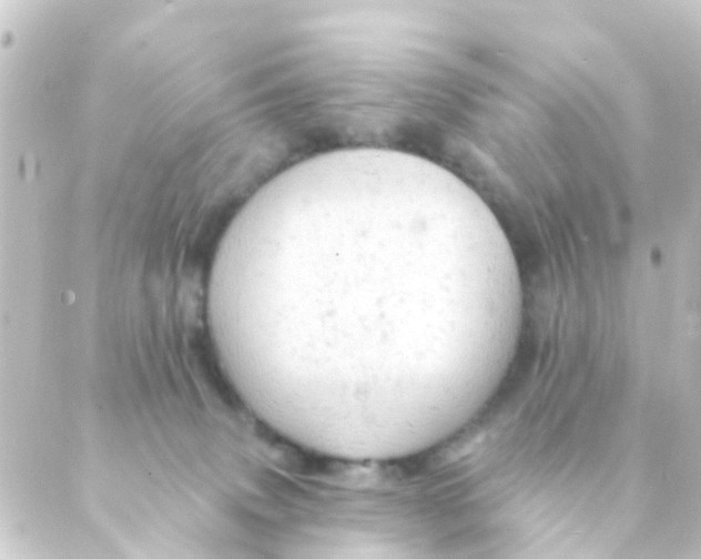 X0000088650083200706221621