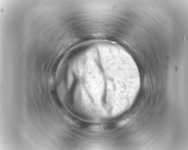 X0000088650084200706221621