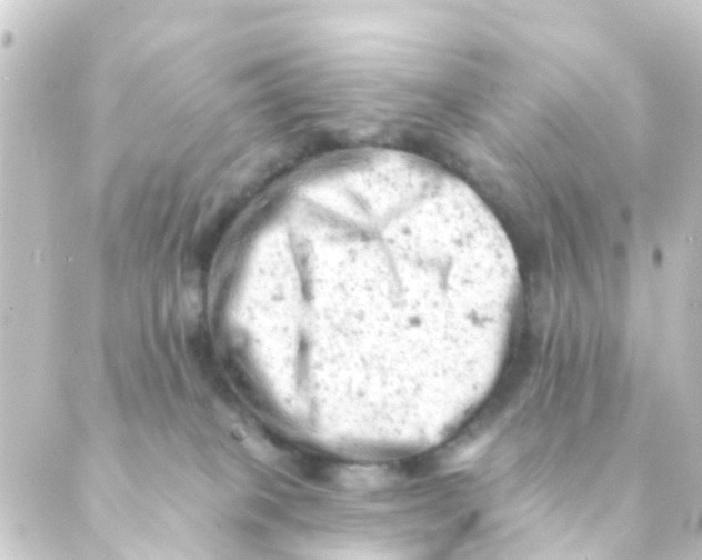 X0000088650085200706221621