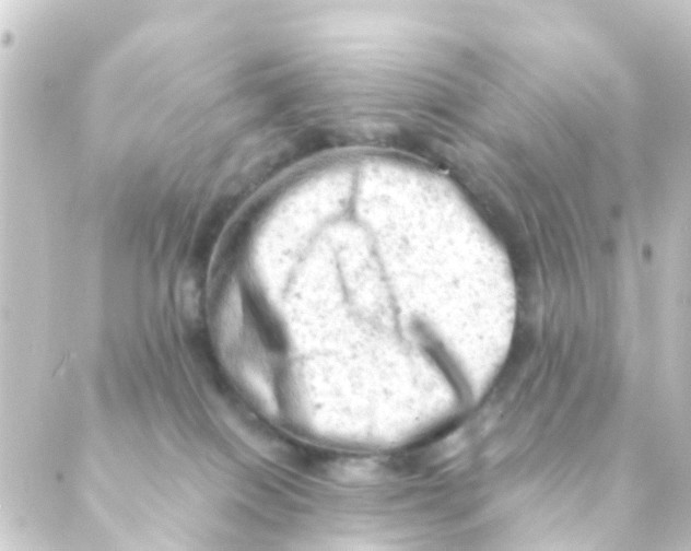 X0000088650086200706221621