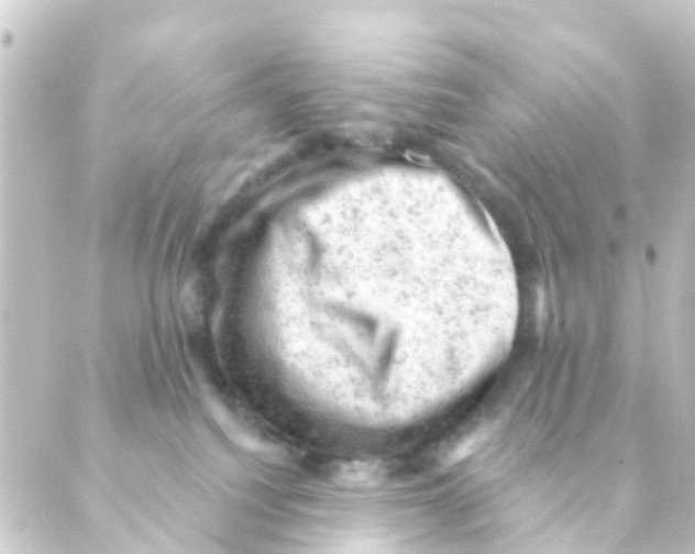 X0000088650088200706221621