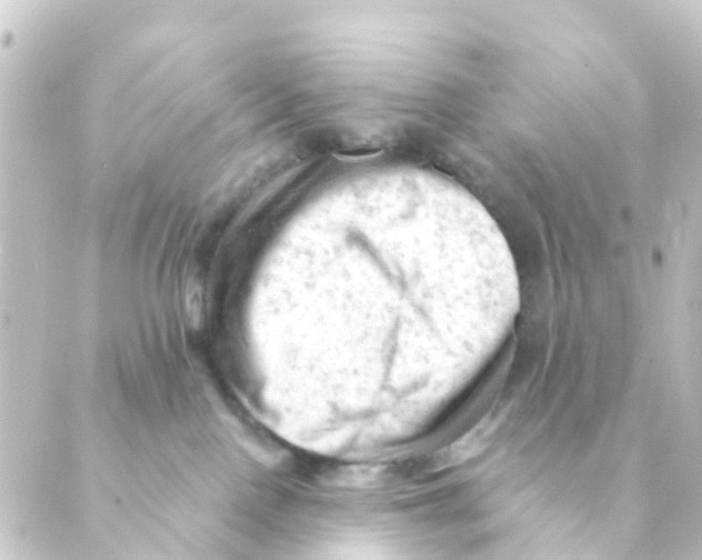 X0000088650090200706221621