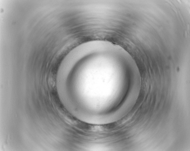 X0000088650091200706221621