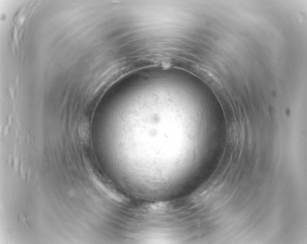 X0000088650092200706221621