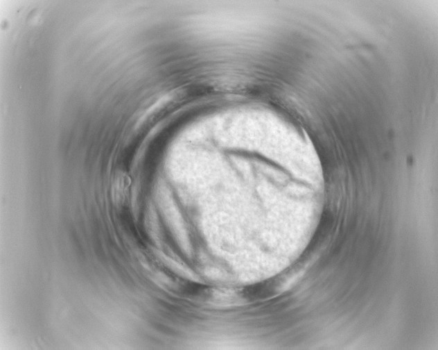 X0000088650093200706221621