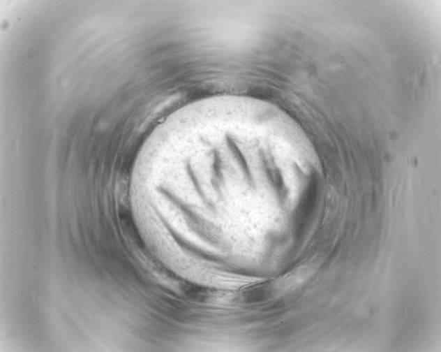 X0000088650096200706221621