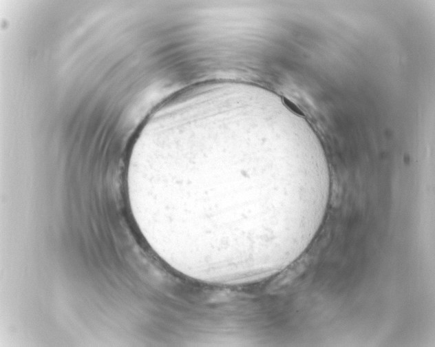 X0000088650098200706221620