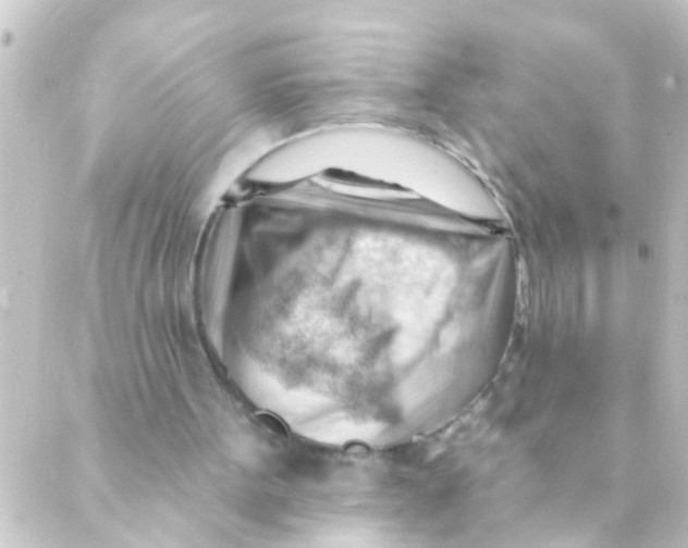 X0000088650099200706221620