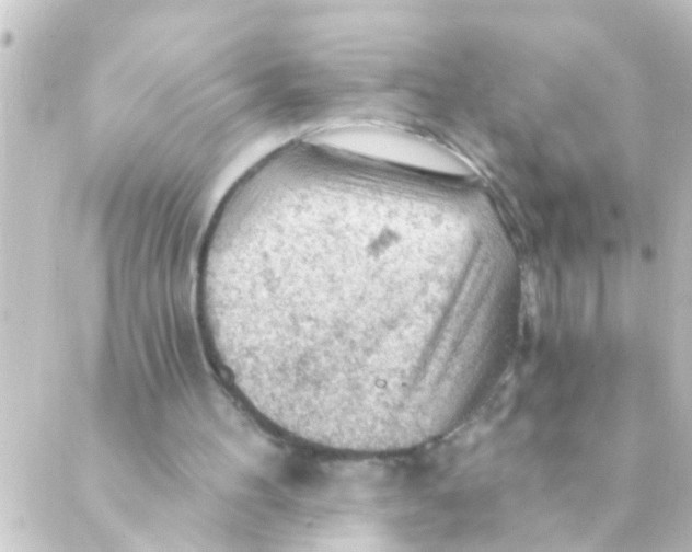 X0000088650100200706221620