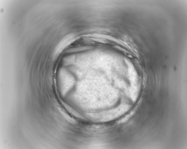 X0000088650101200706221620