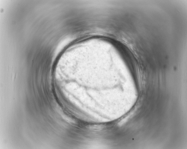 X0000088650102200706221620