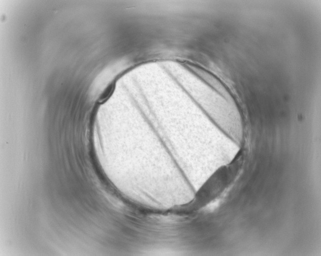 X0000088650103200706221620