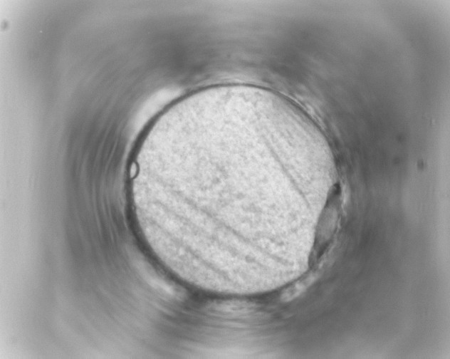 X0000088650104200706221620