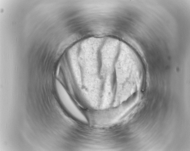 X0000088650105200706221620