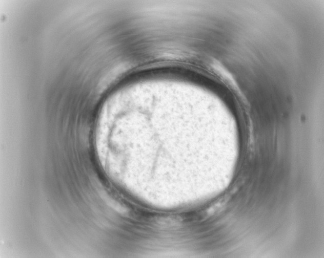 X0000088650106200706221620