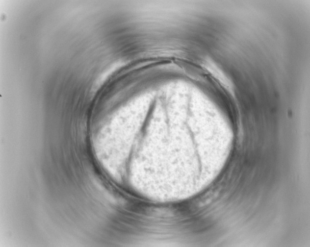 X0000088650107200706221620