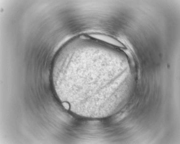 X0000088650108200706221620