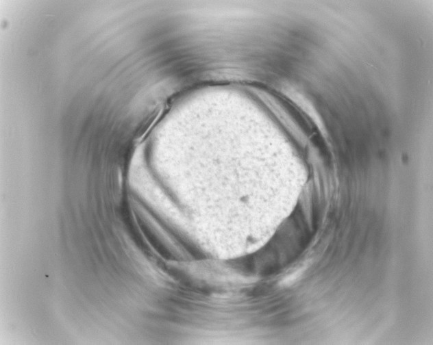 X0000088650109200706221620