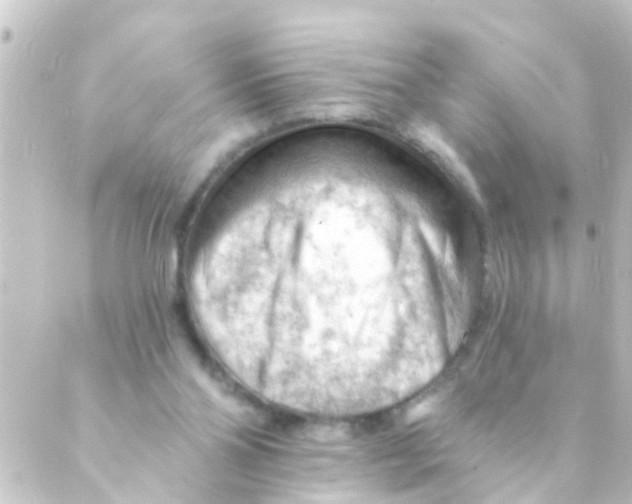 X0000088650110200706221620