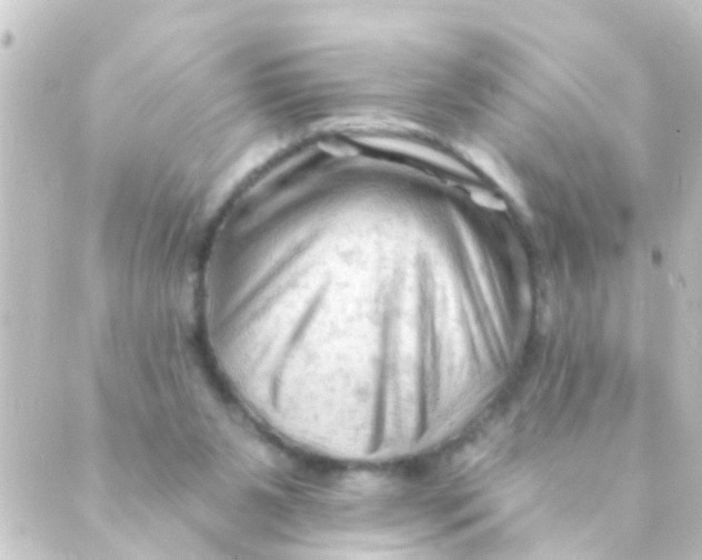 X0000088650111200706221620