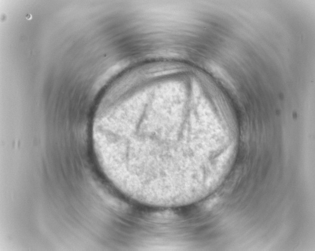 X0000088650112200706221620