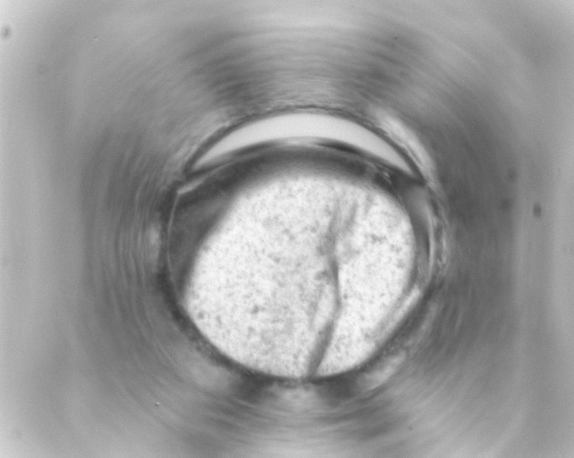 X0000088650113200706221620