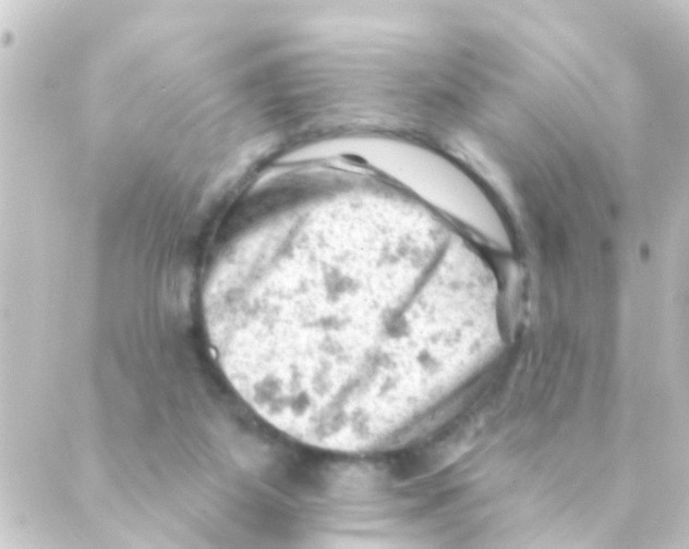 X0000088650115200706221620