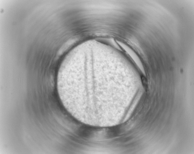 X0000088650116200706221620